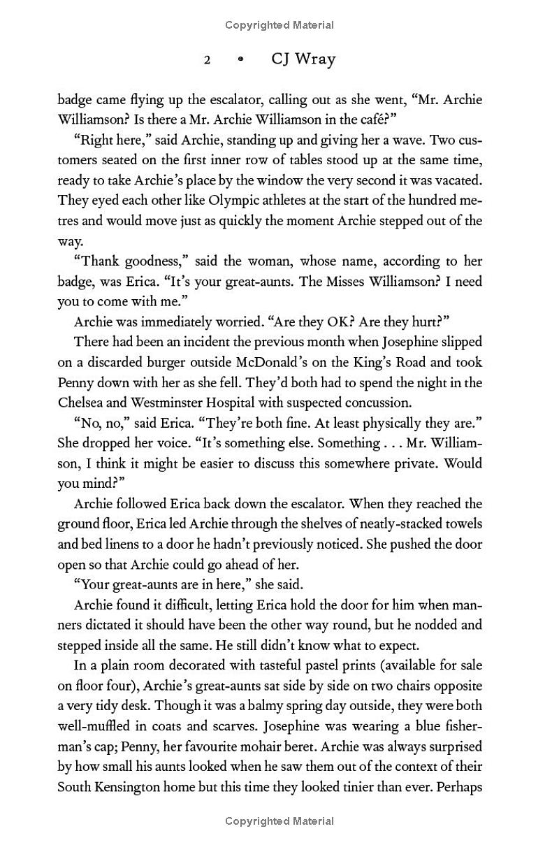 the excitements - cj wray