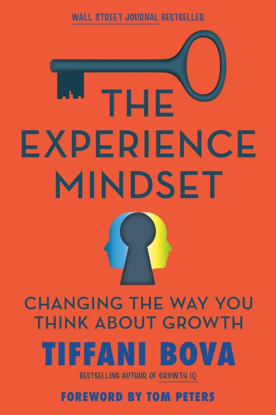 the experience mindset