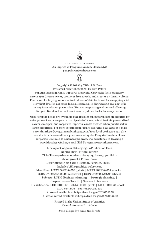 the experience mindset