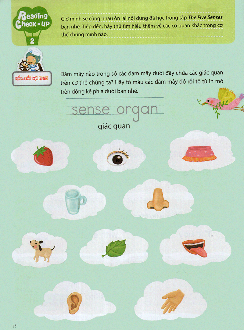 the five senses - năm giác quan -trình độ 1 (tập 5)