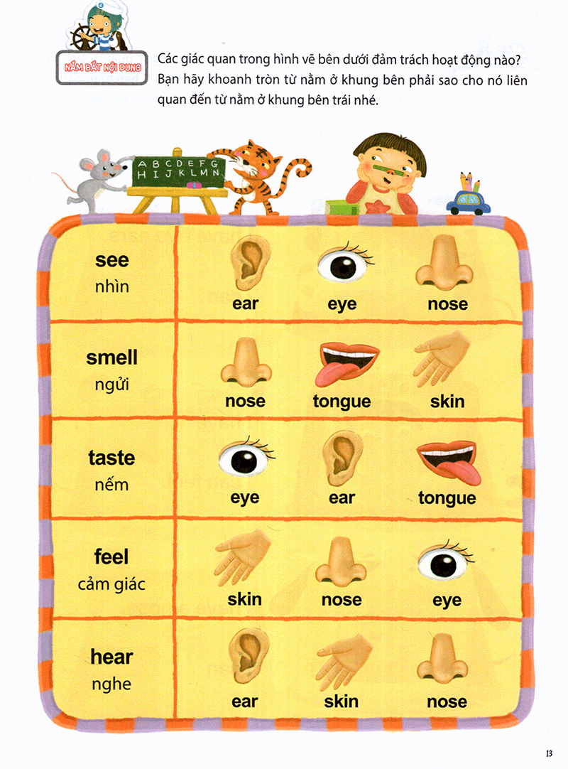 the five senses - năm giác quan -trình độ 1 (tập 5)