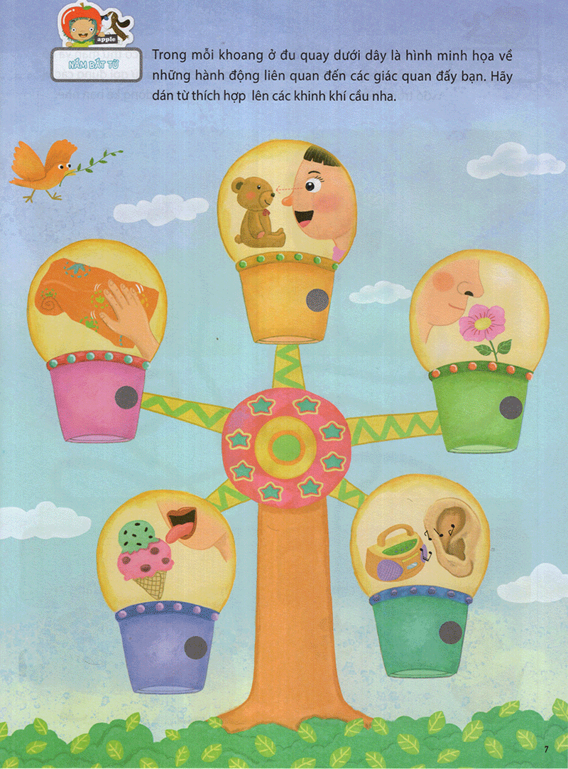 the five senses - năm giác quan -trình độ 1 (tập 5)