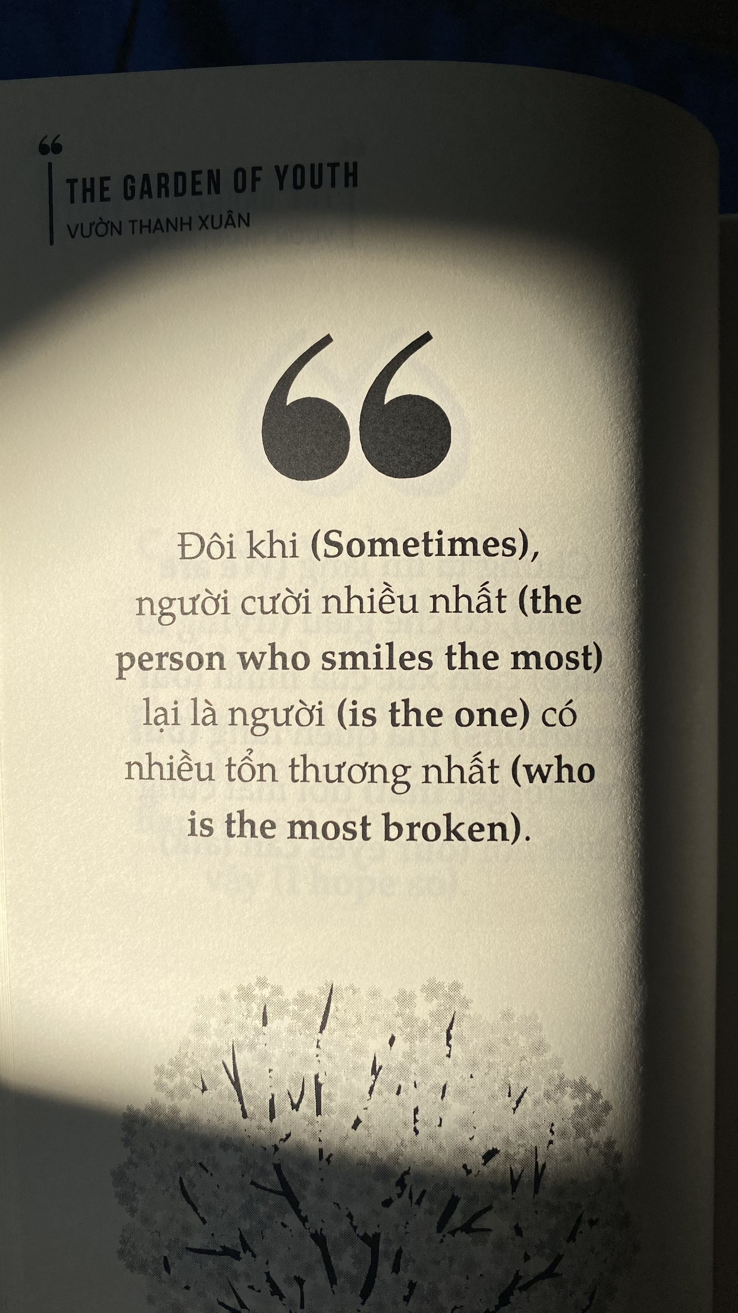 the garden of youth - vườn thanh xuân