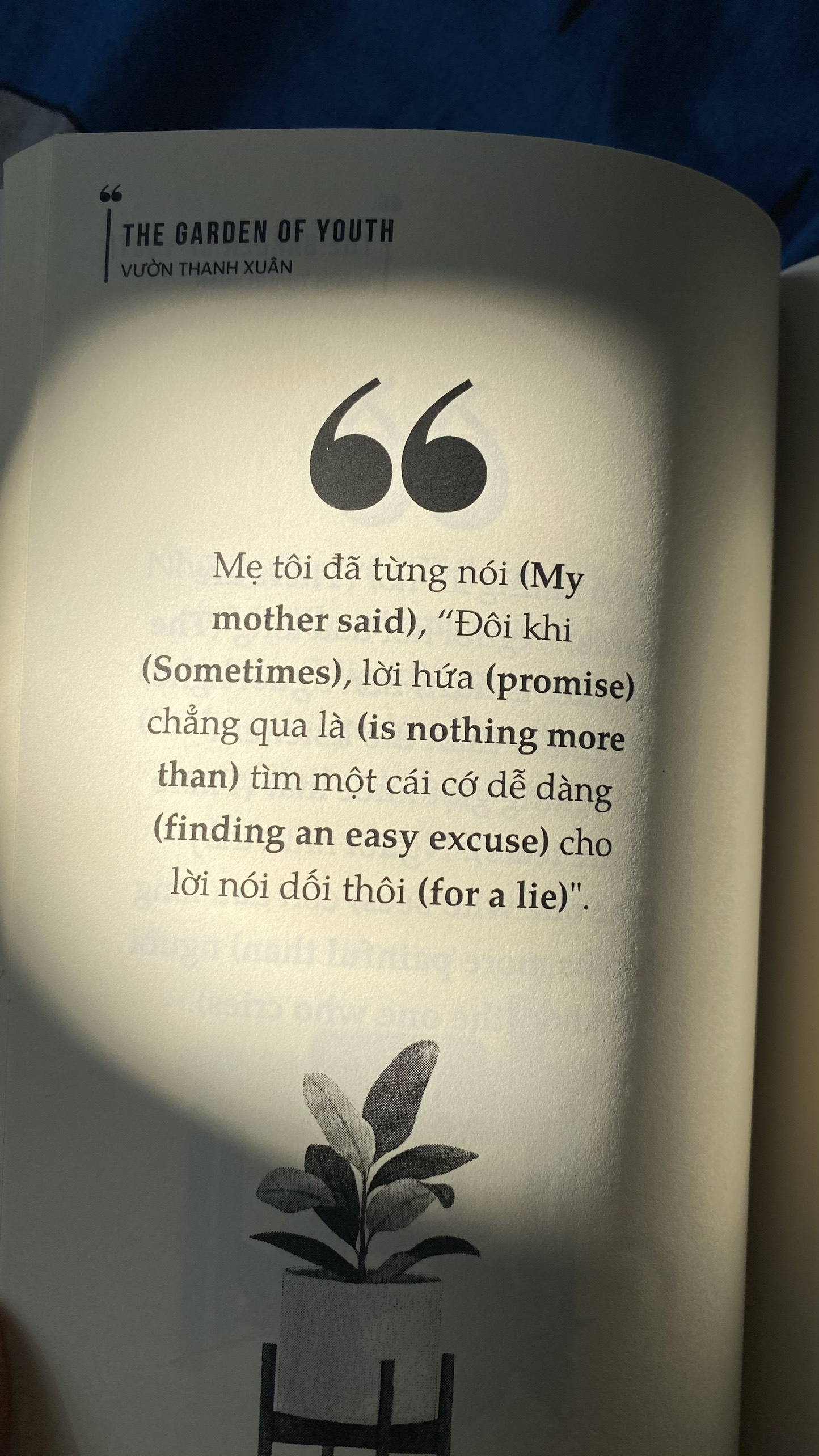 the garden of youth - vườn thanh xuân