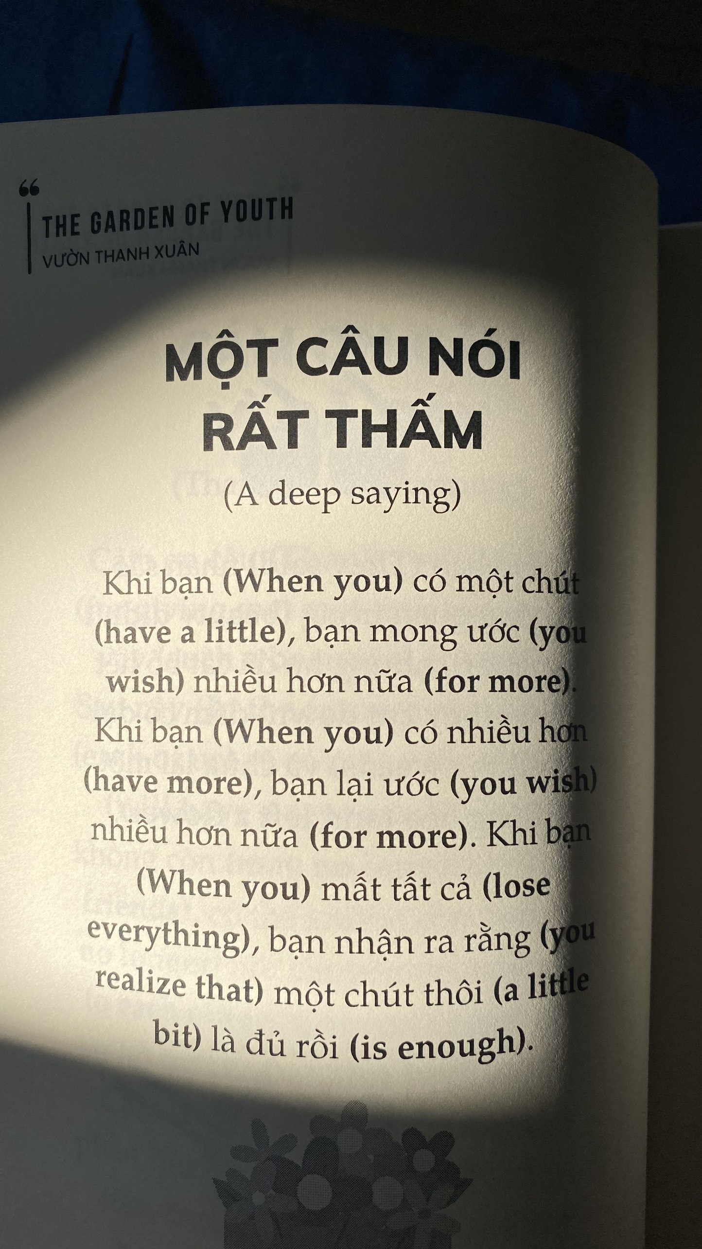 the garden of youth - vườn thanh xuân