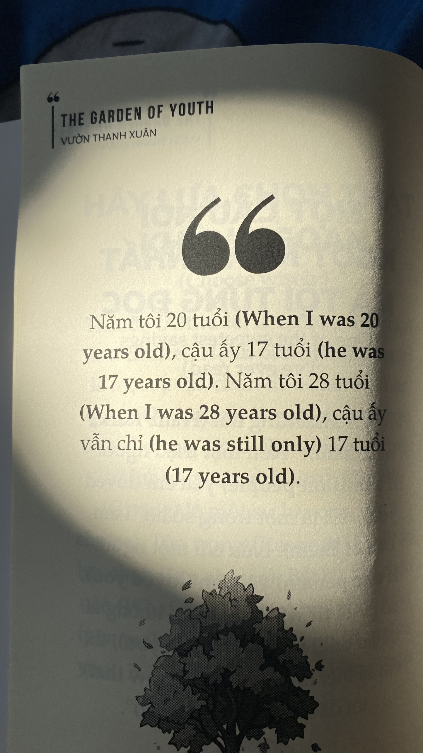 the garden of youth - vườn thanh xuân