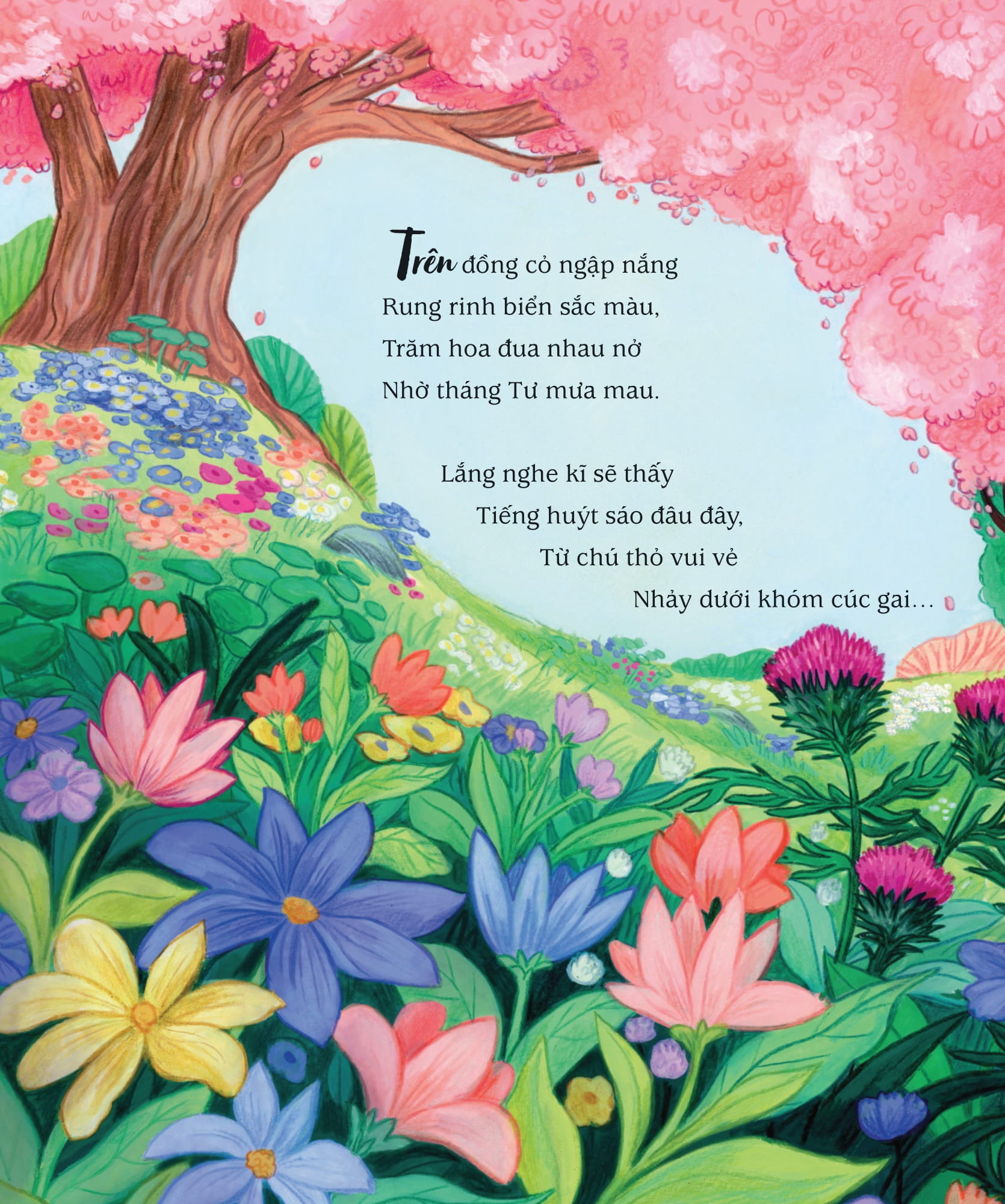 The Gioi Cua Tho Peter - Bay Cao Va Xa Mai