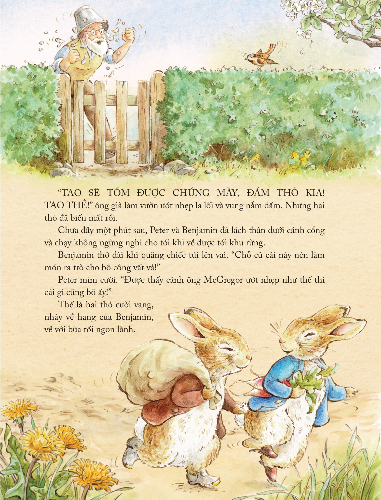 thế giới của thỏ peter - những câu chuyện chốn đồng quê