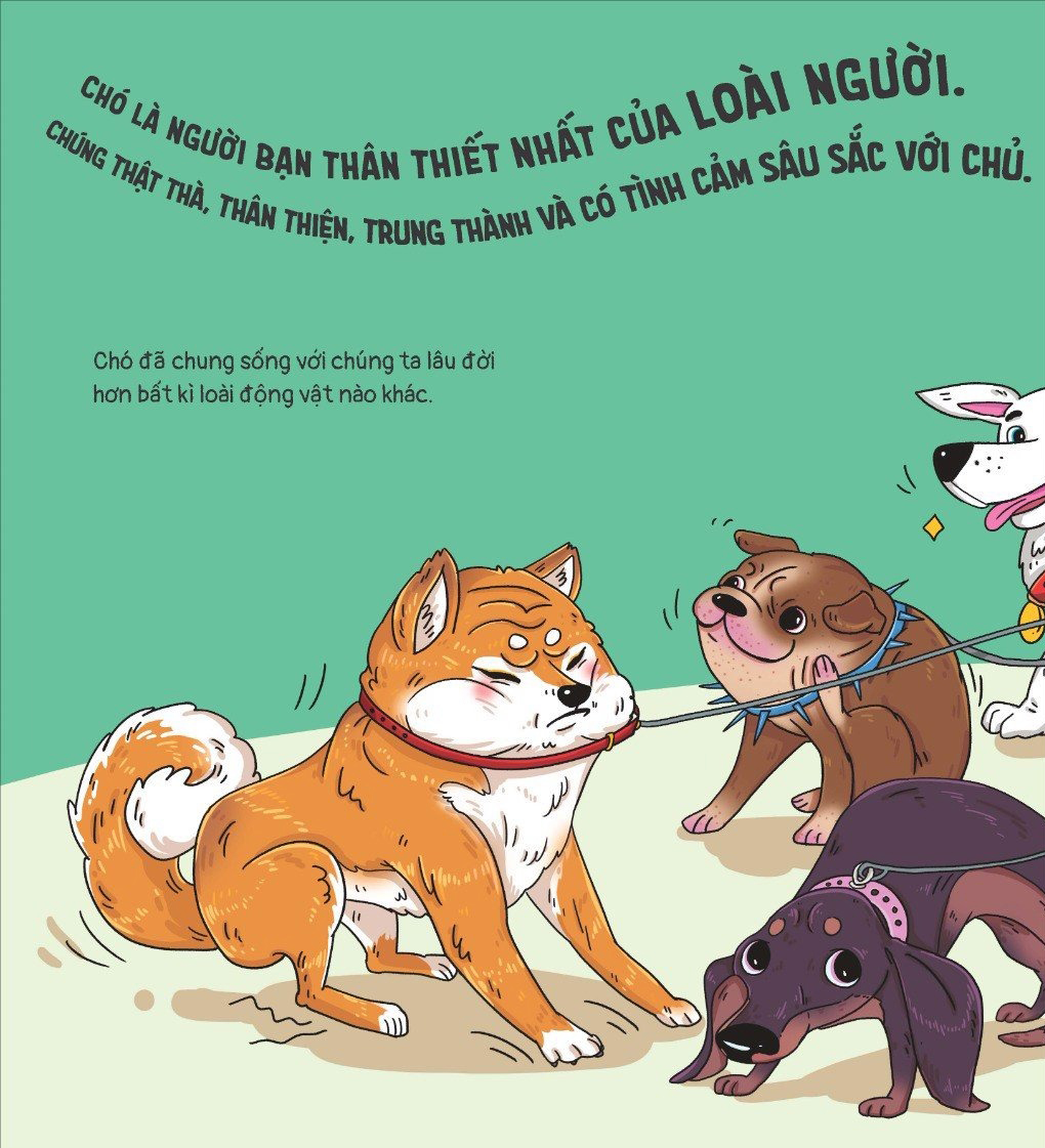 thế giới động vật - đà điểu biết trượt tuyết không?