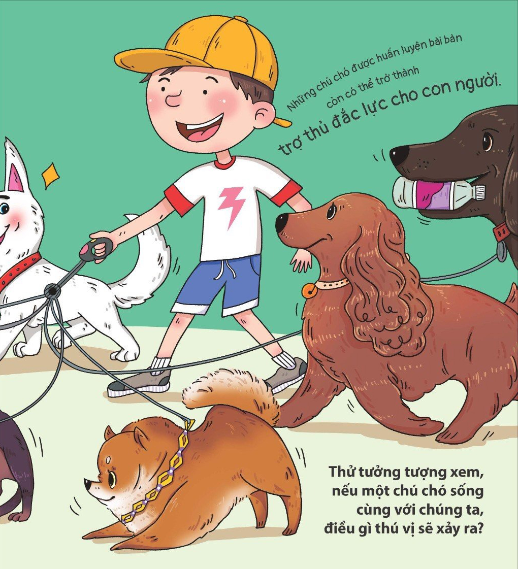 thế giới động vật - đà điểu biết trượt tuyết không?