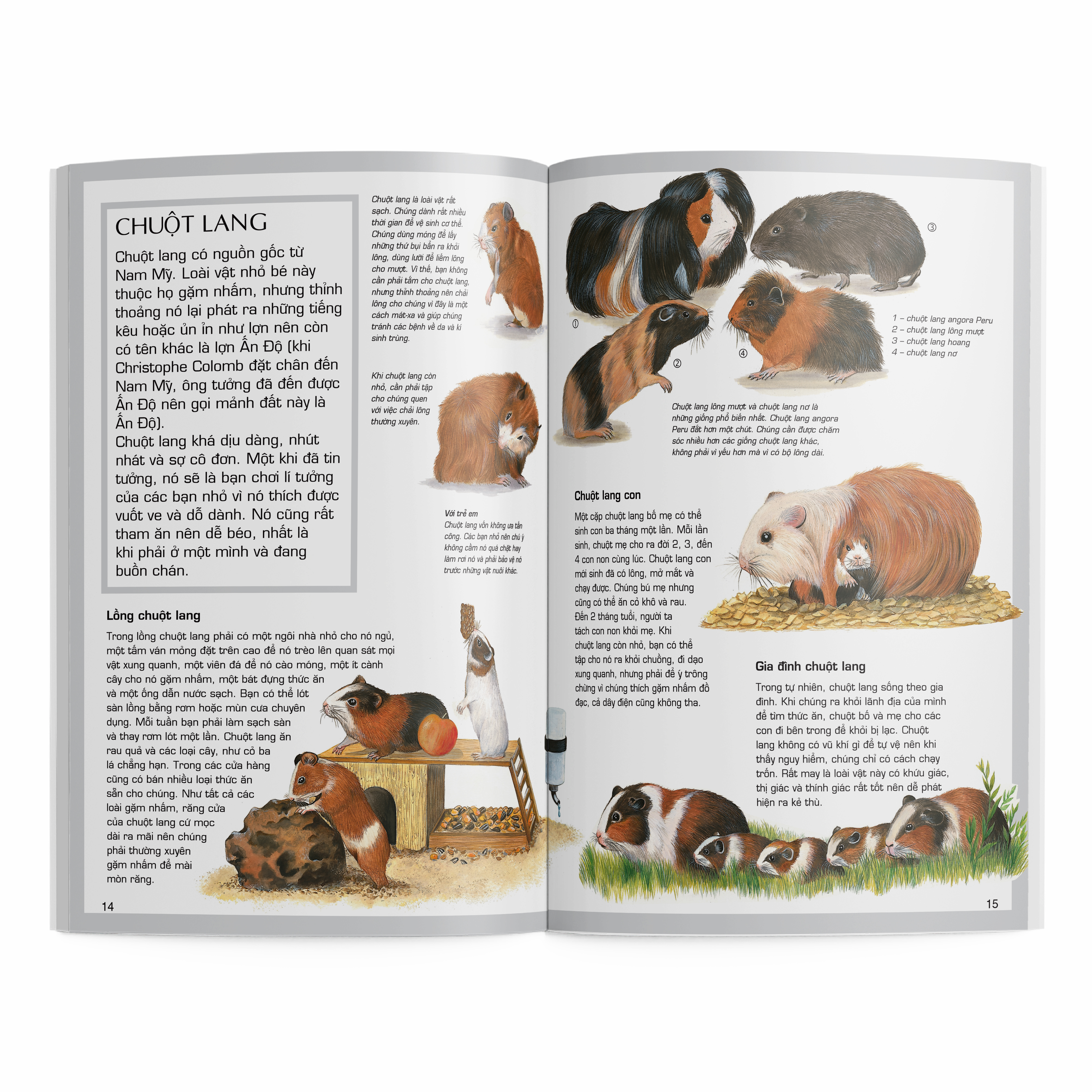 thế giới động vật - động vật cảnh