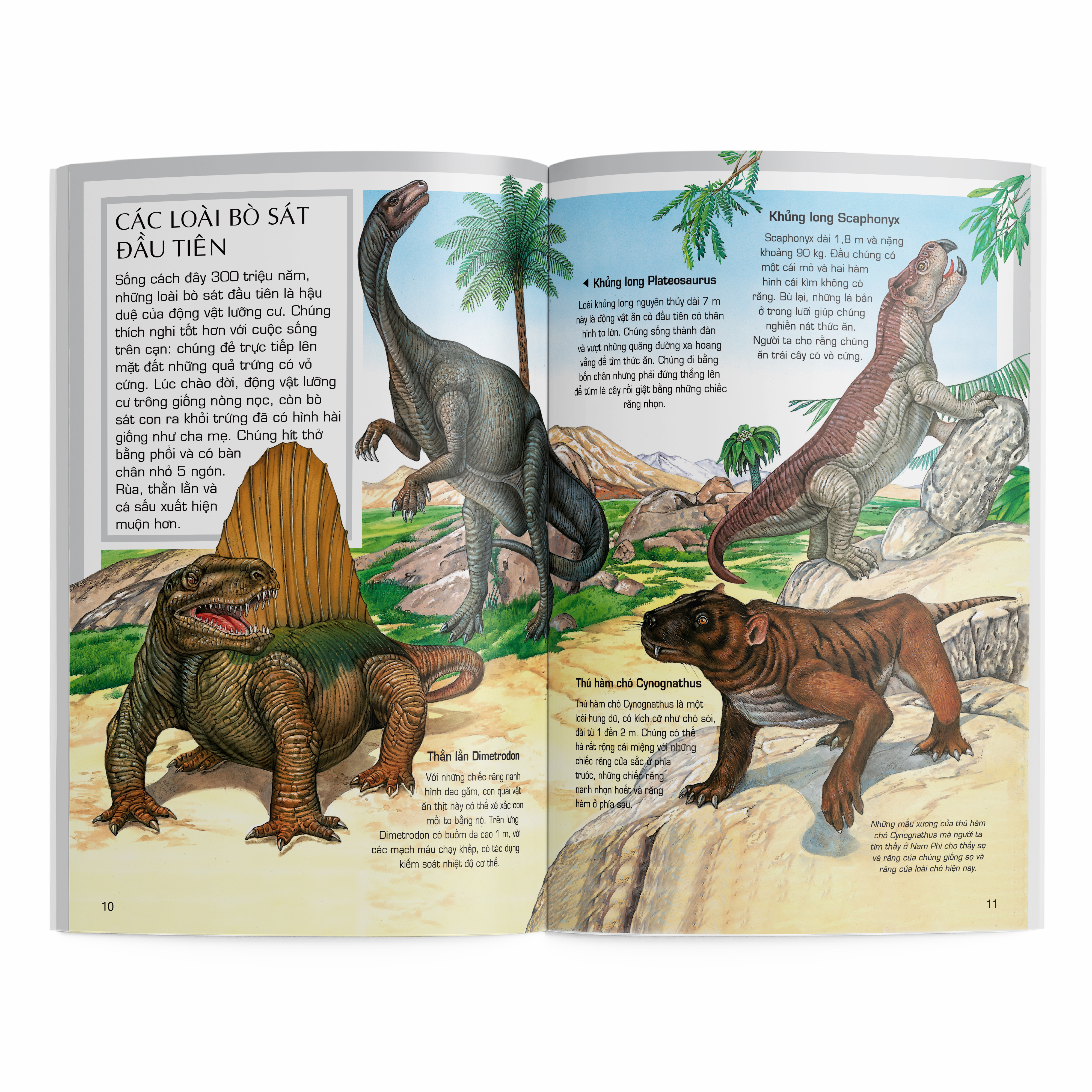 thế giới động vật - động vật thời tiền sử