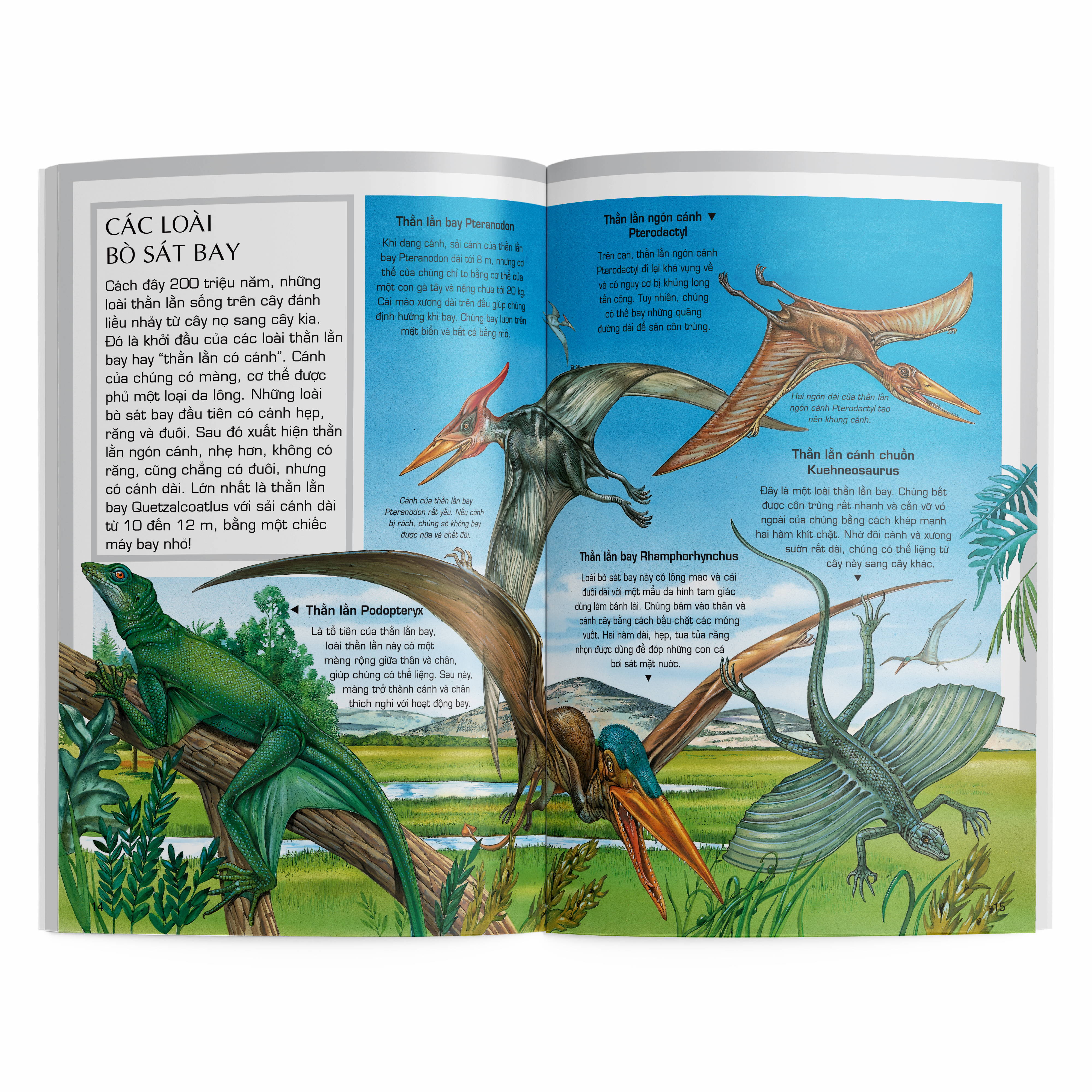 thế giới động vật - động vật thời tiền sử