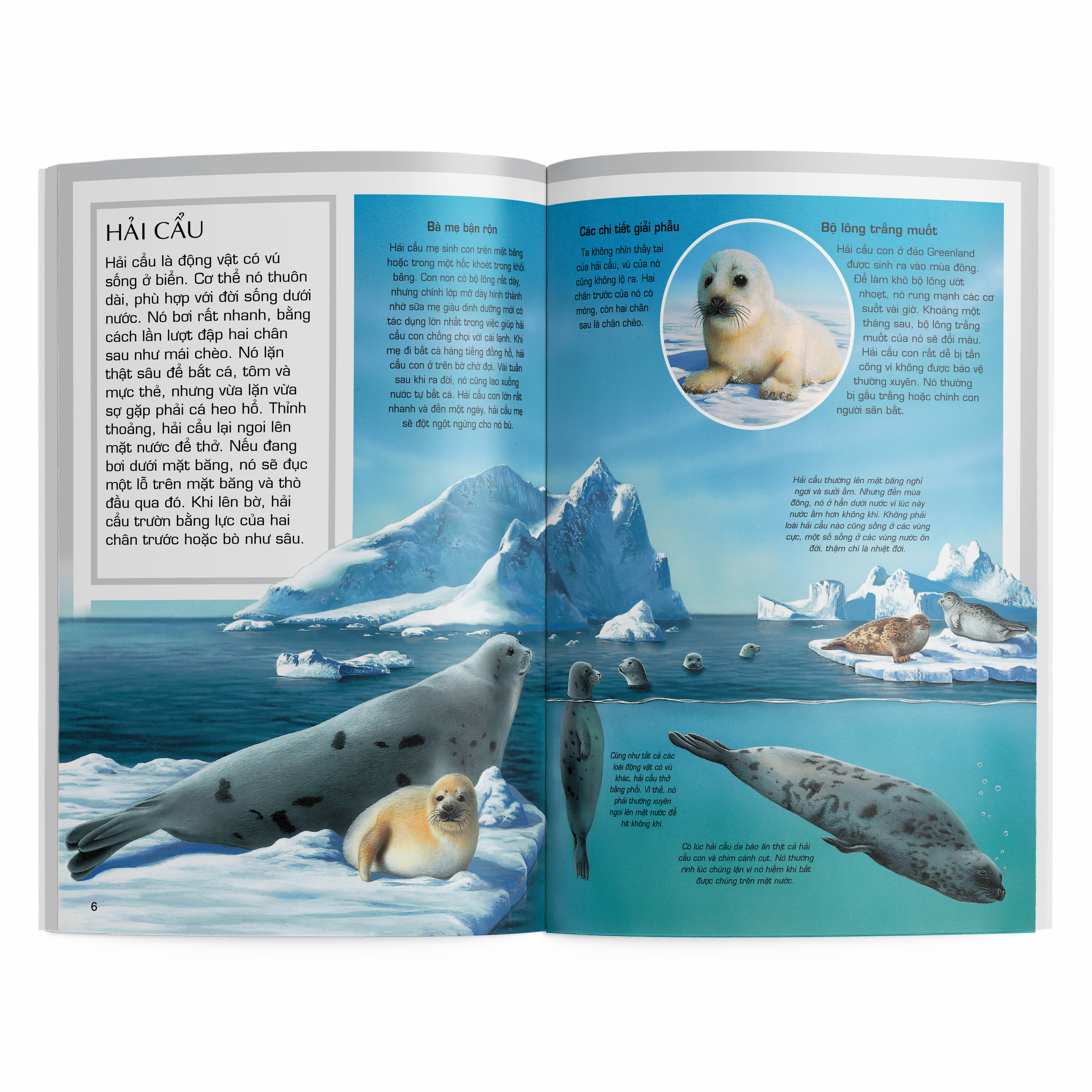 thế giới động vật - động vật vùng cực