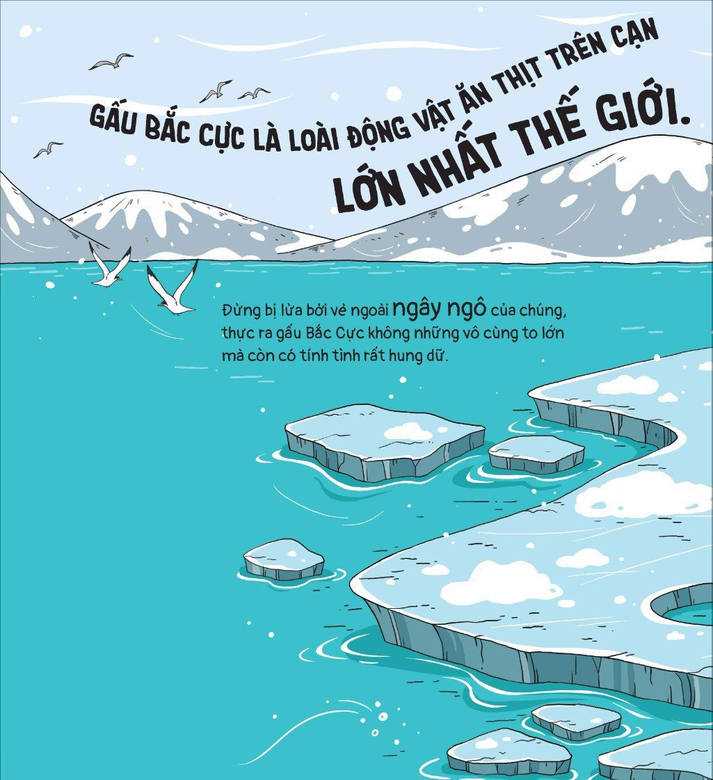 thế giới động vật - gấu bắc cực đến nam cực thì sao?