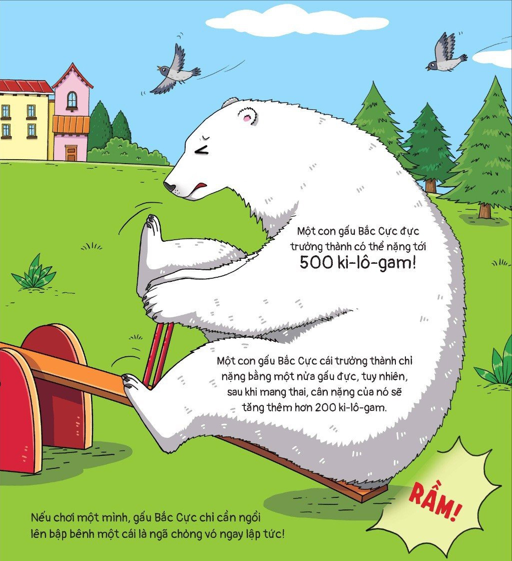 thế giới động vật - gấu bắc cực đến nam cực thì sao?