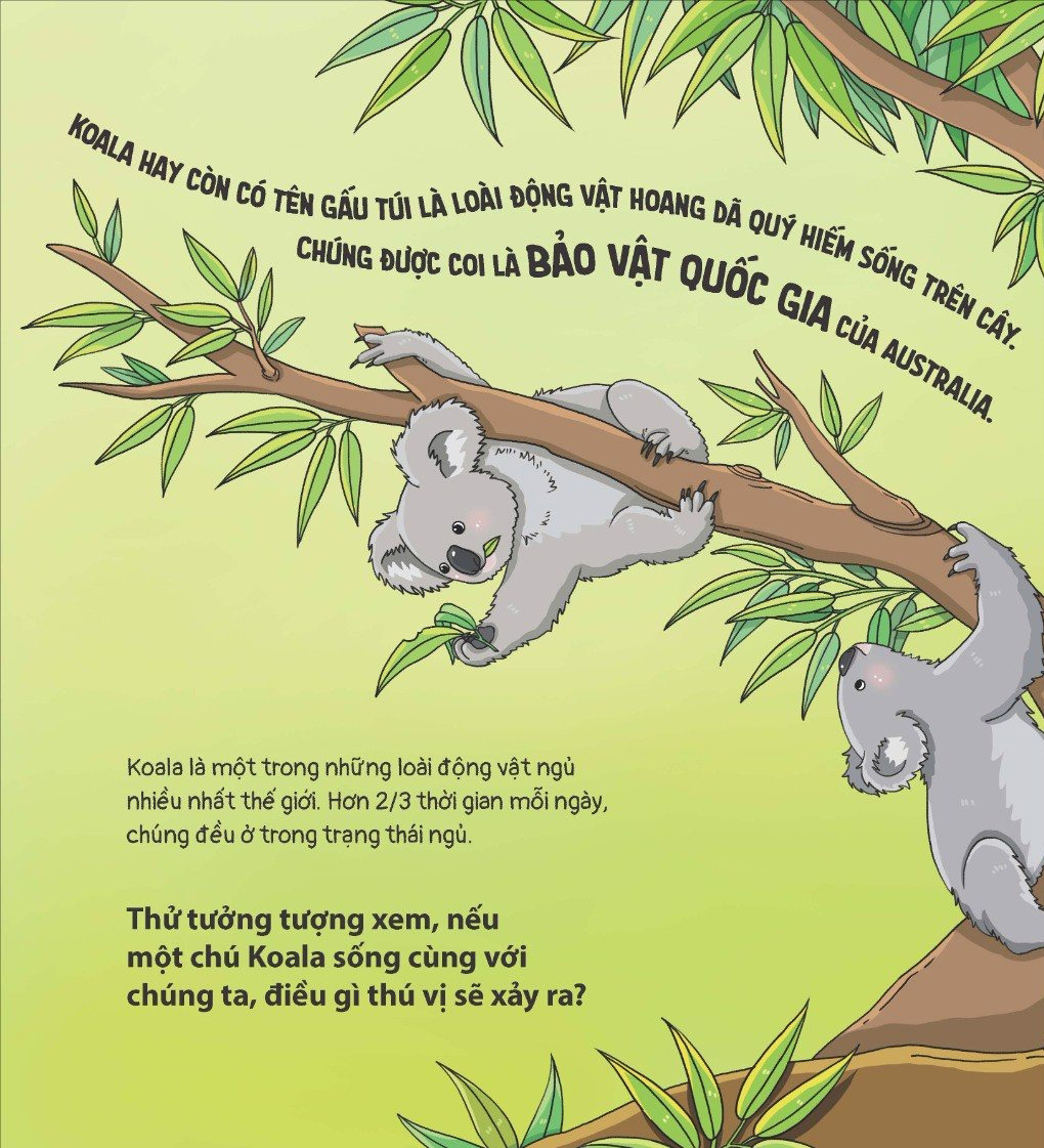 thế giới động vật - gấu koala biết chơi đàn ghi-ta không?