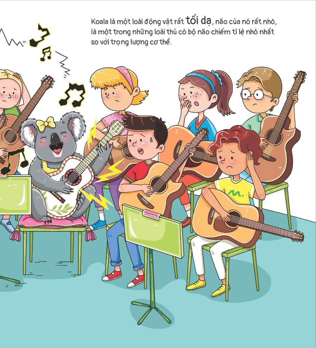 thế giới động vật - gấu koala biết chơi đàn ghi-ta không?