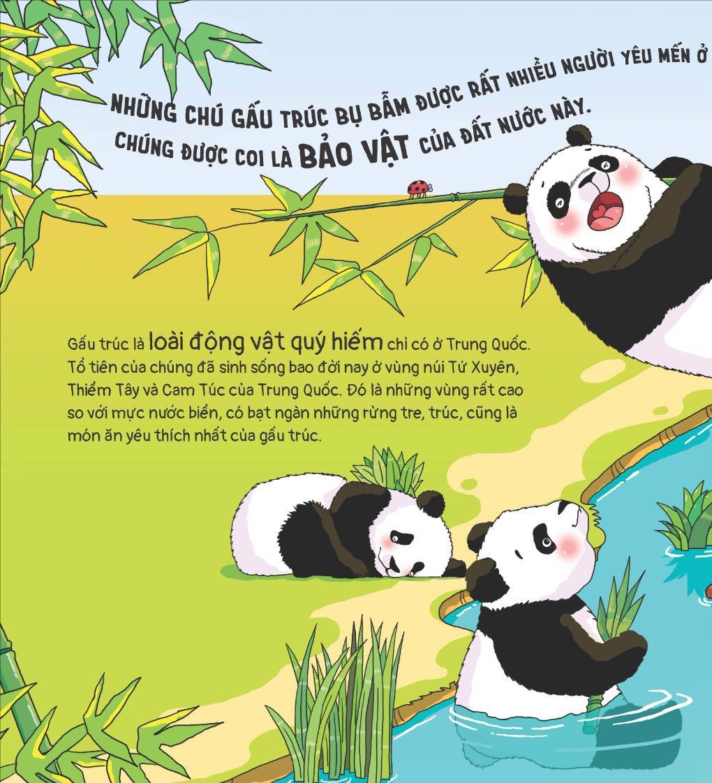 thế giới động vật - gấu trúc biết đắp người tuyết không?