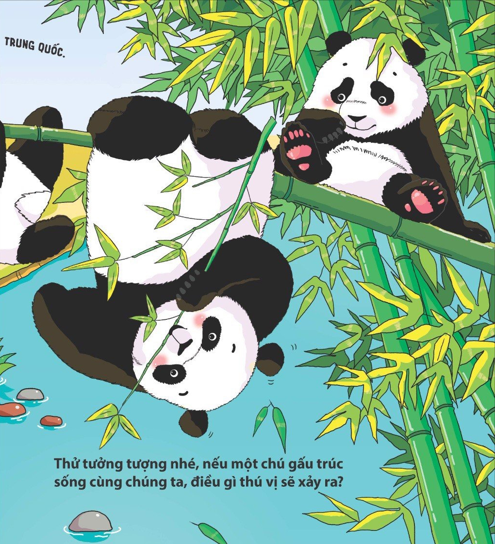 thế giới động vật - gấu trúc biết đắp người tuyết không?