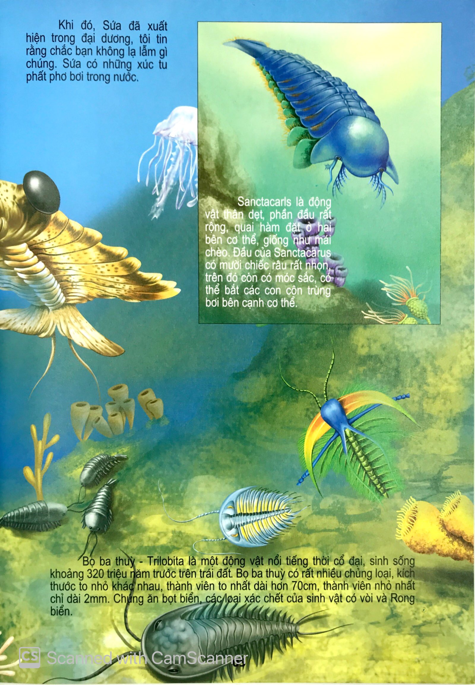 thế giới động vật kì thú - động vật thời cổ đại