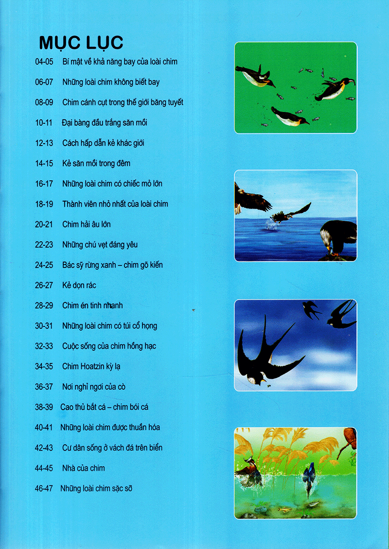 thế giới động vật kì thú - thế giới loài chim