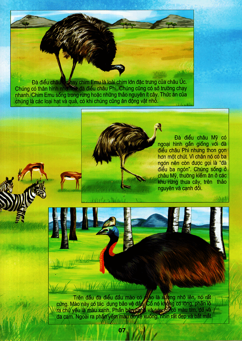 thế giới động vật kì thú - thế giới loài chim