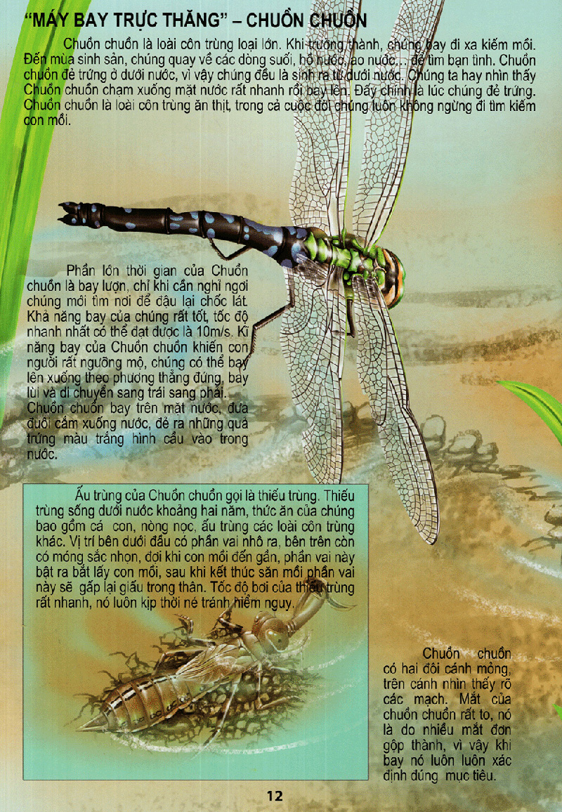 thế giới động vật kì thú - vườn côn trùng