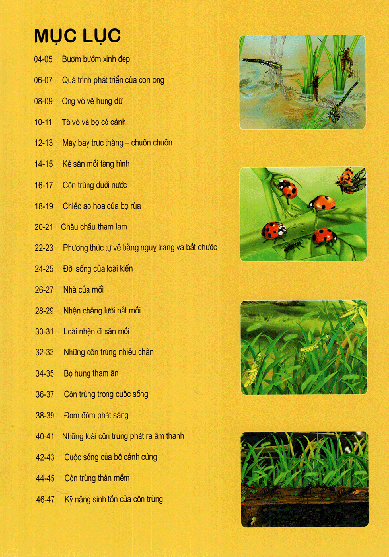 thế giới động vật kì thú - vườn côn trùng