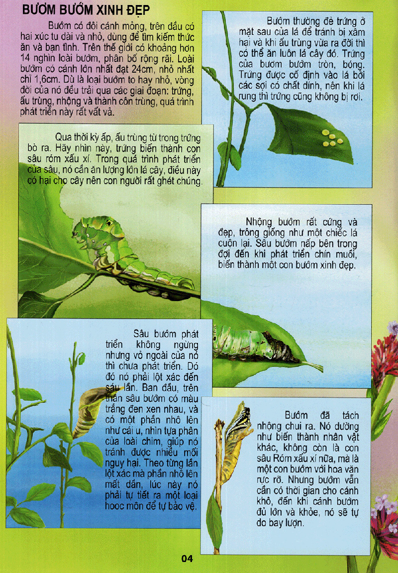 thế giới động vật kì thú - vườn côn trùng