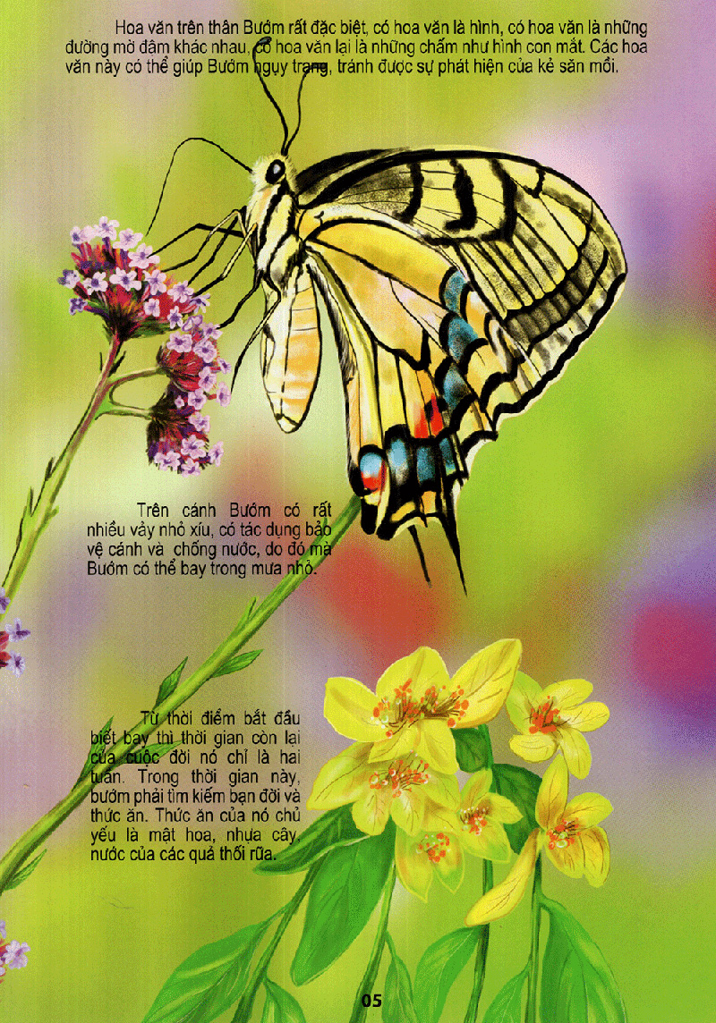 thế giới động vật kì thú - vườn côn trùng