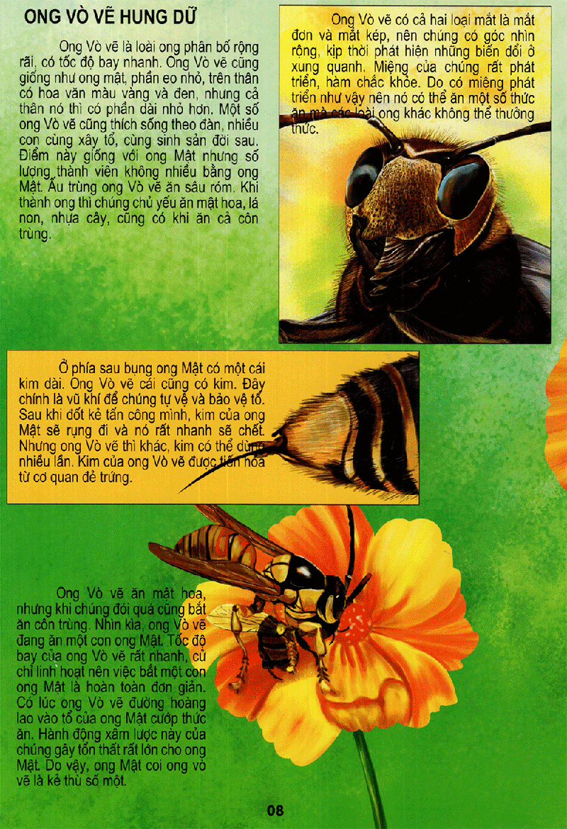 thế giới động vật kì thú - vườn côn trùng