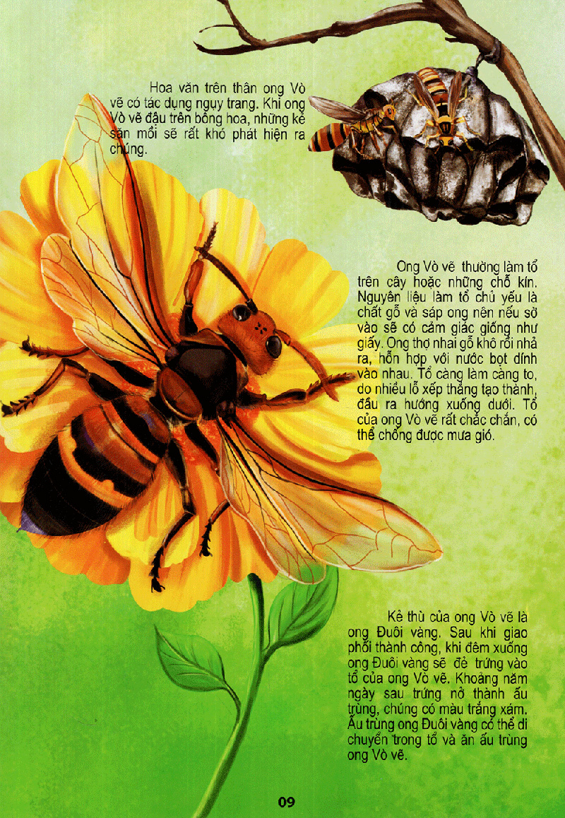 thế giới động vật kì thú - vườn côn trùng