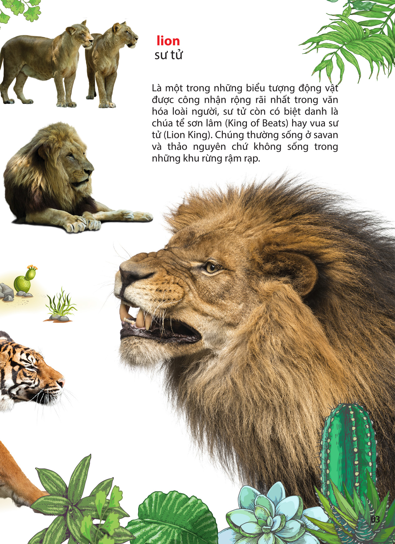 thế giới động vật ở vườn thú châu phi