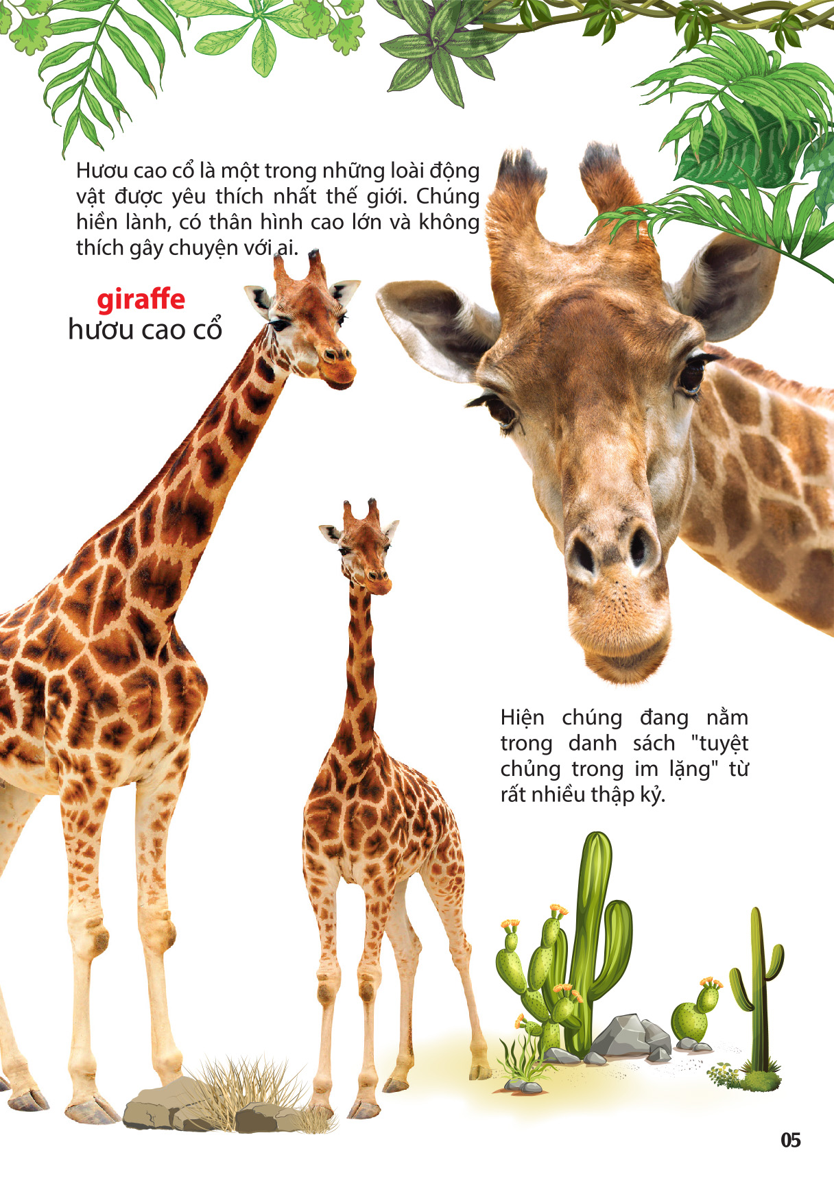 thế giới động vật ở vườn thú châu phi