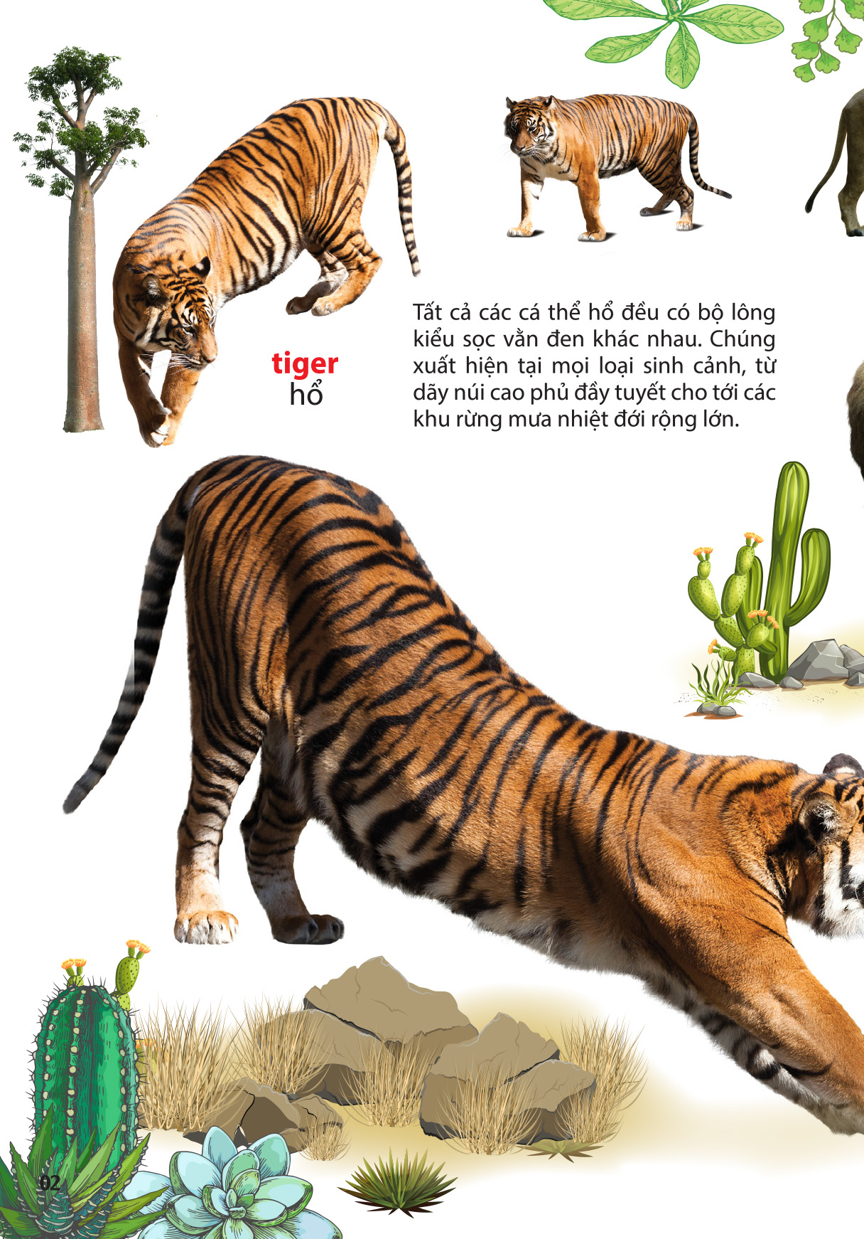 thế giới động vật ở vườn thú châu phi