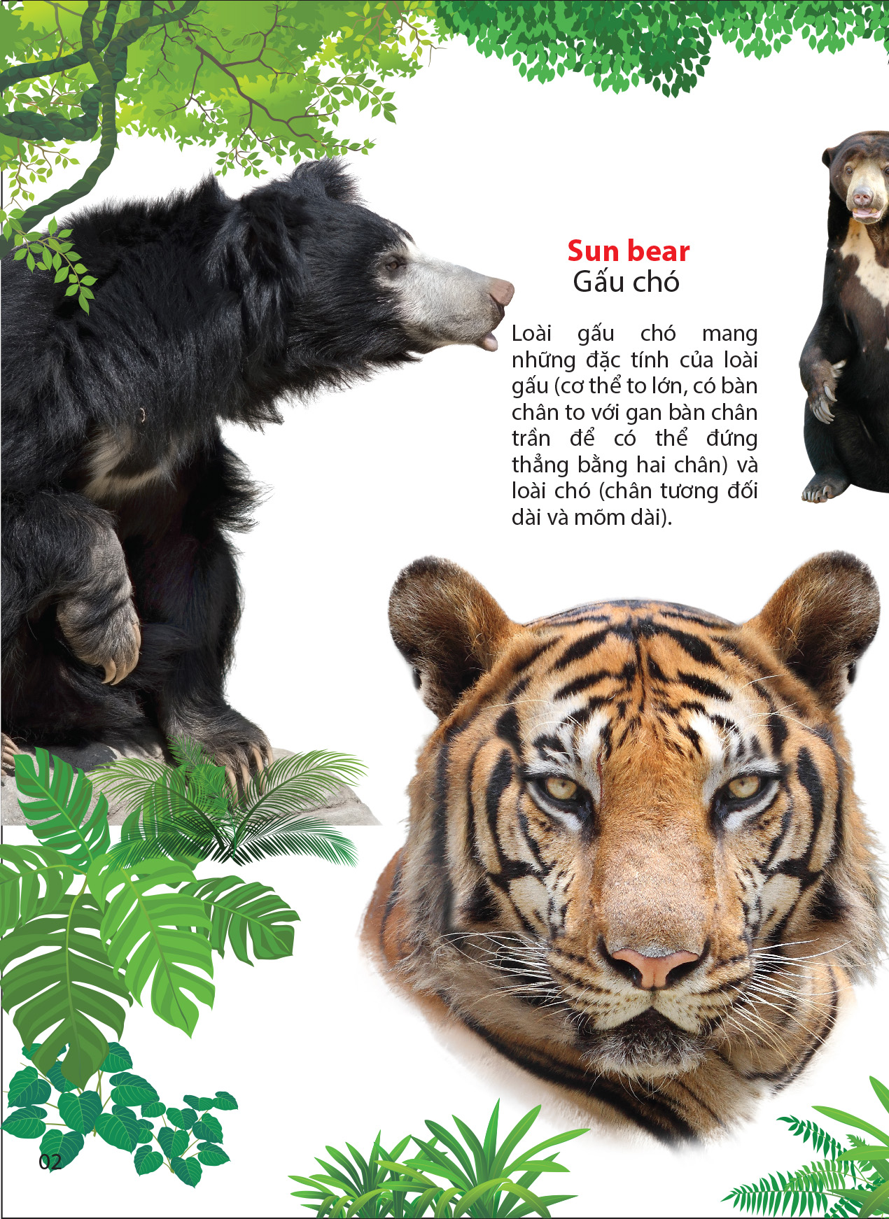 thế giới động vật trong rừng nhiệt đới