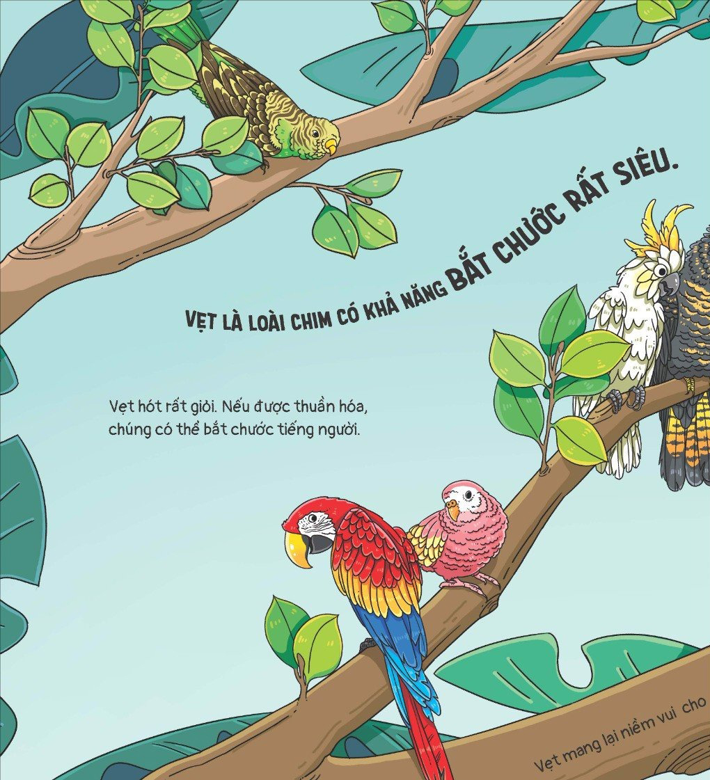 thế giới động vật - vẹt biết nhào lộn không?