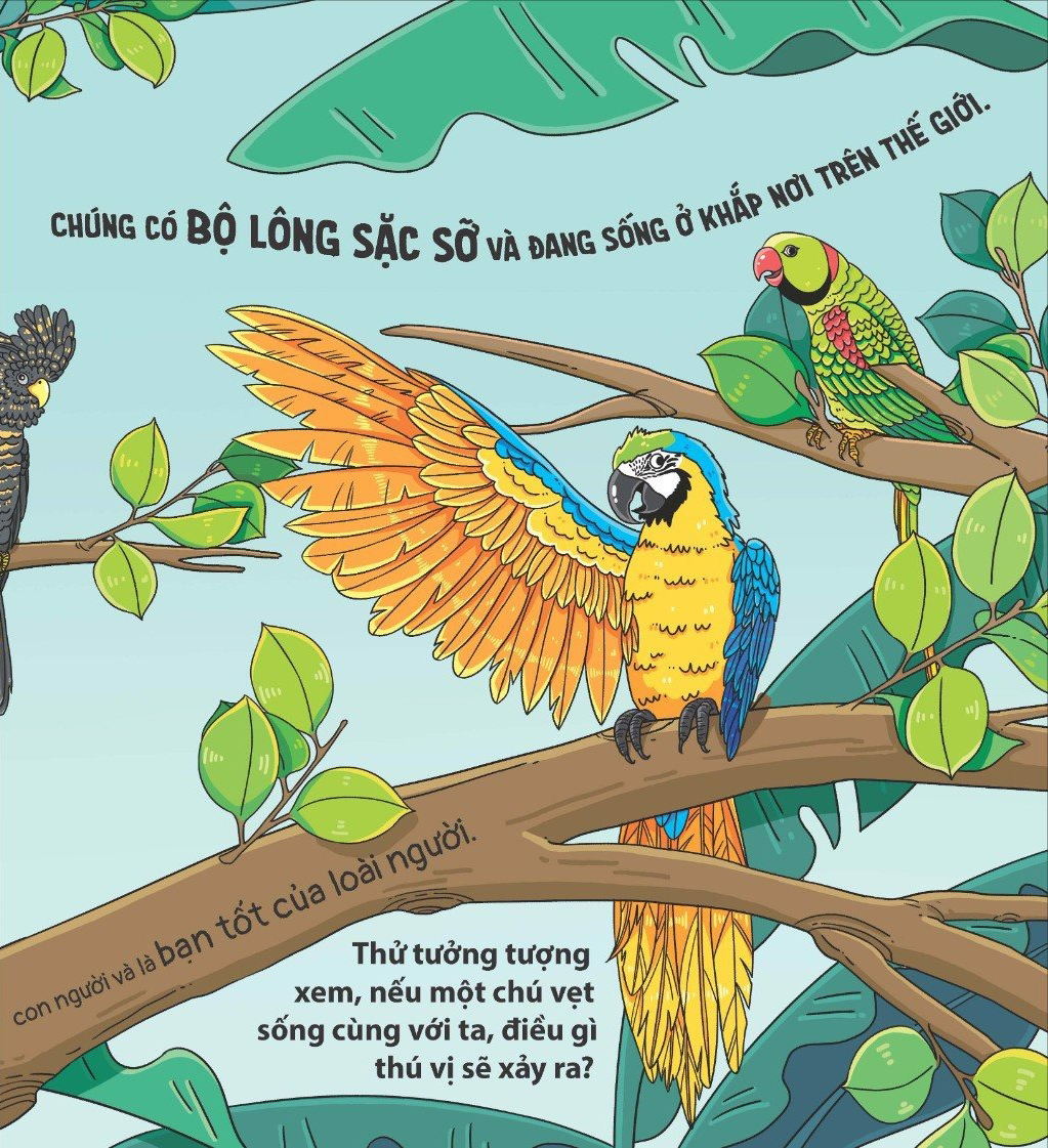 thế giới động vật - vẹt biết nhào lộn không?