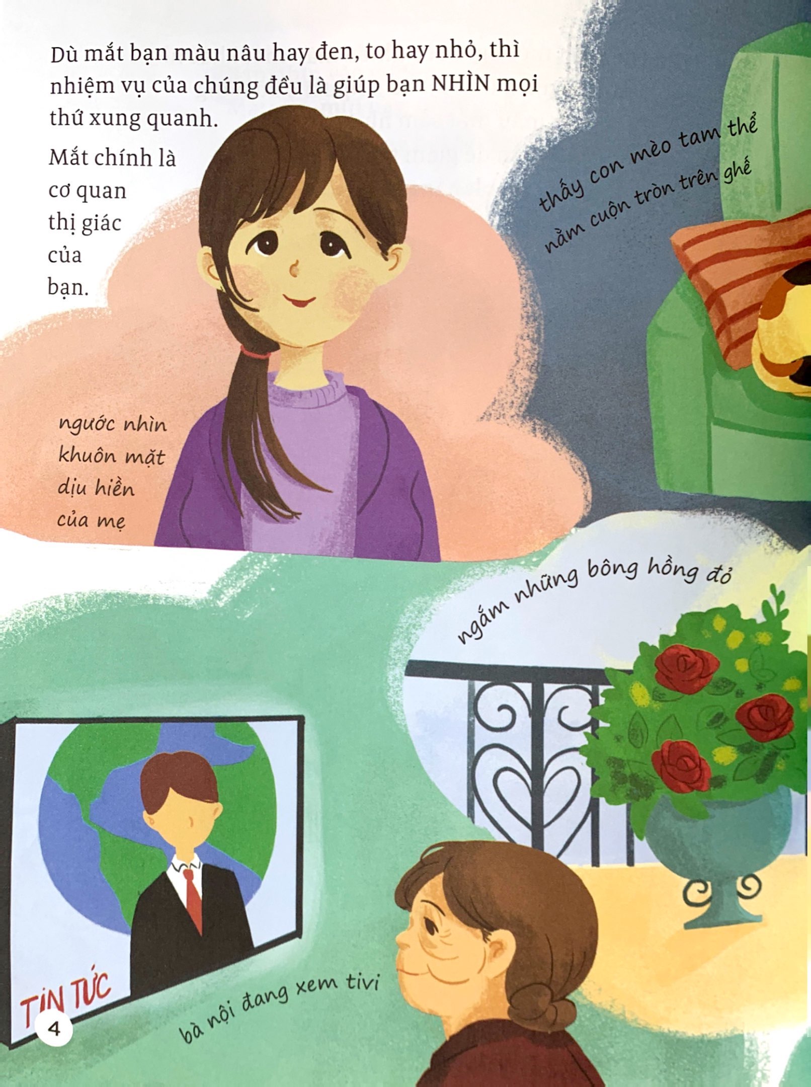 thế giới giác quan kỳ thú: bạn nhìn thấy gì? - cùng tìm hiểu thị giác