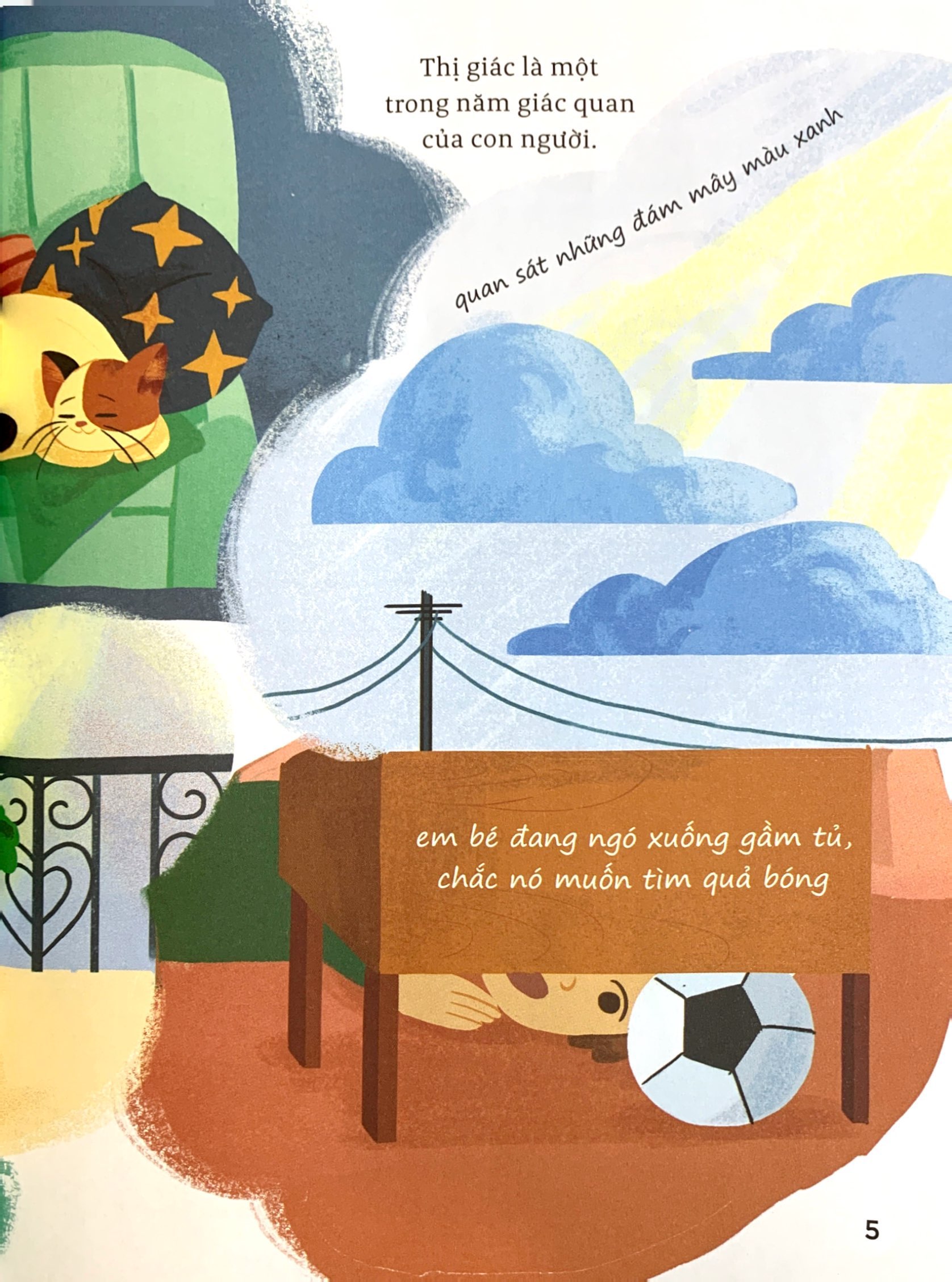 thế giới giác quan kỳ thú: bạn nhìn thấy gì? - cùng tìm hiểu thị giác