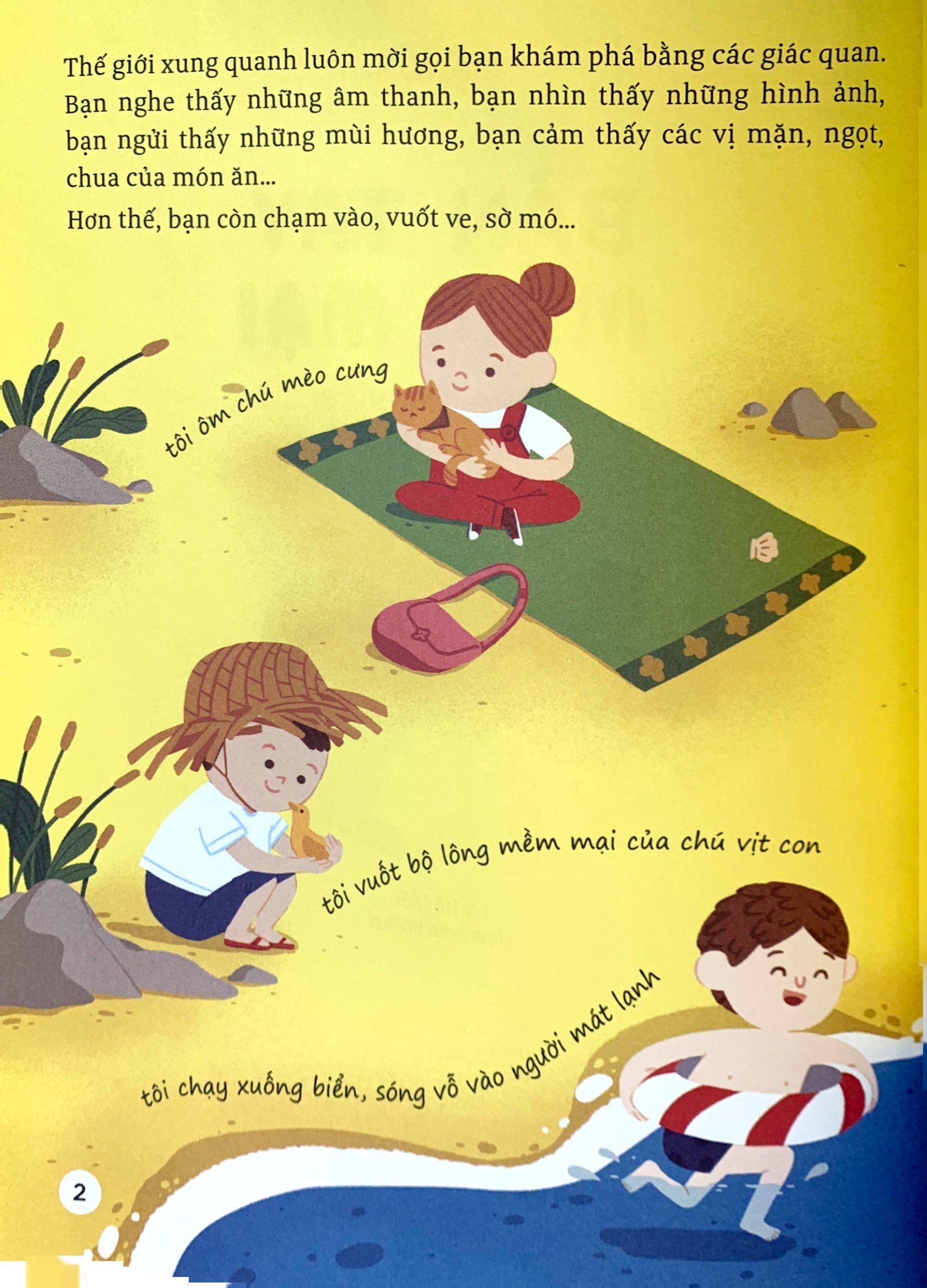 thế giới giác quan kỳ thú: bàn tay mềm mại - cùng tìm hiểu xúc giác