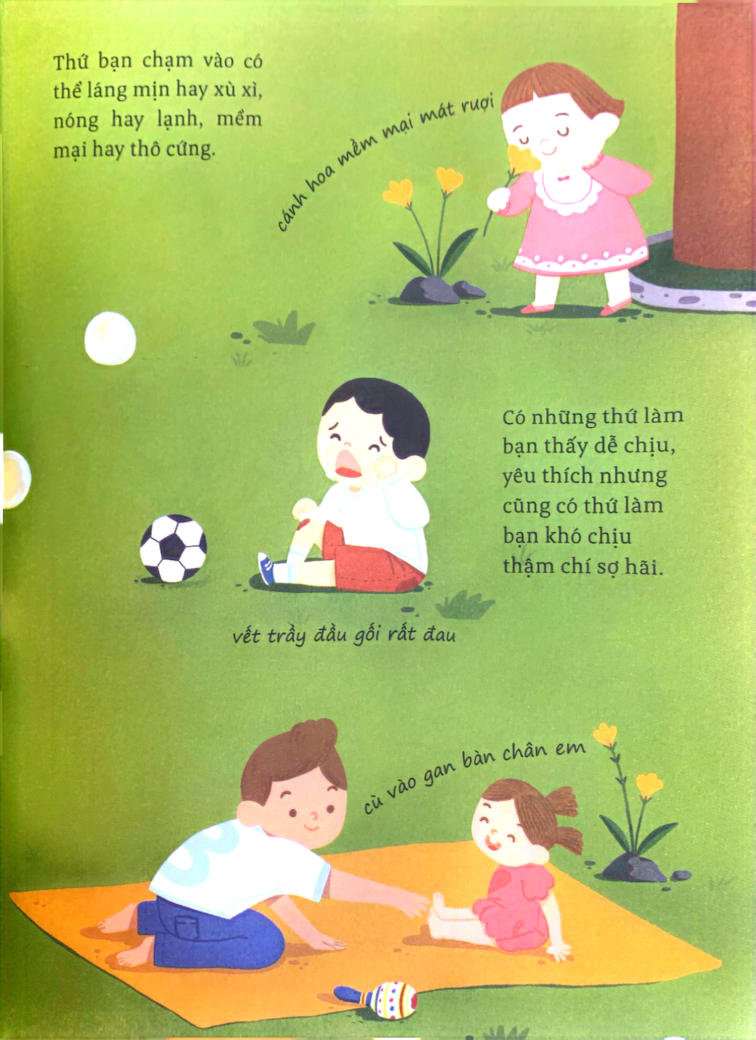 thế giới giác quan kỳ thú: bàn tay mềm mại - cùng tìm hiểu xúc giác