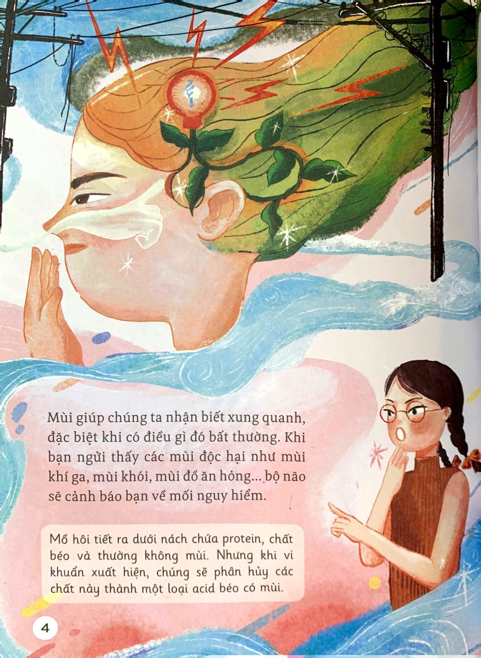 thế giới giác quan kỳ thú: mùi gì thơm thế? - cùng tìm hiểu khứu giác