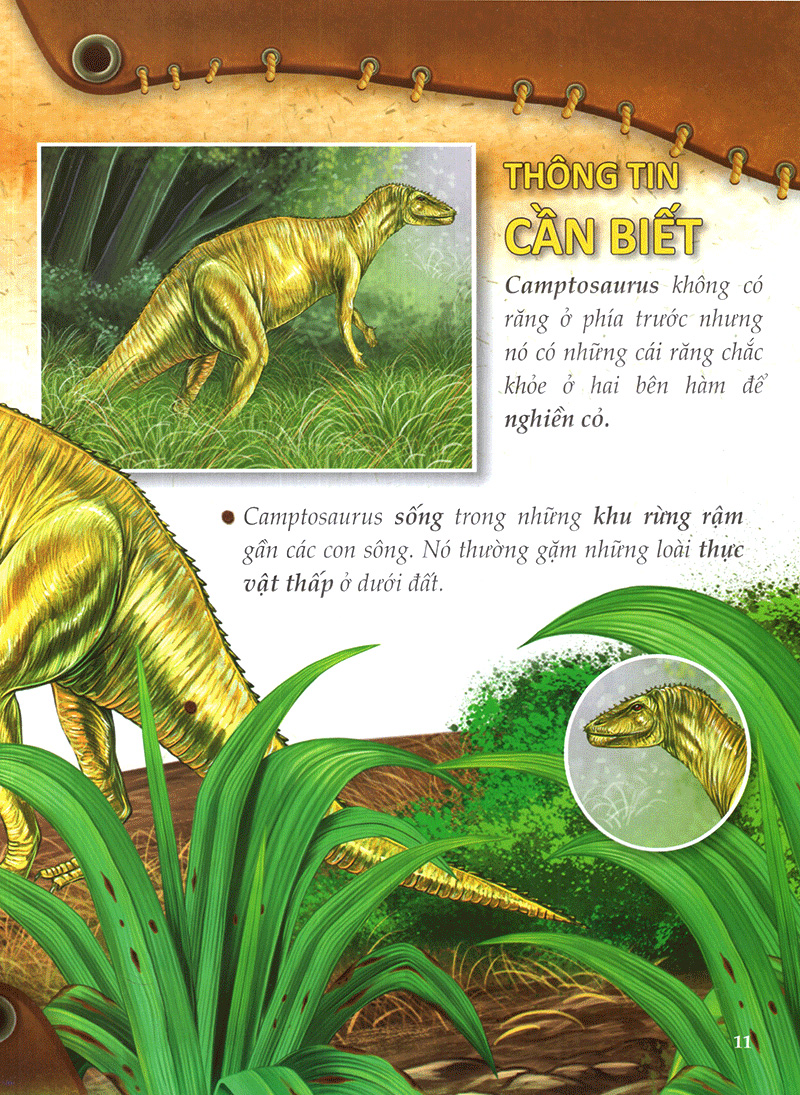 thế giới khủng long - những kẻ khổng lồ (tái bản 2018)