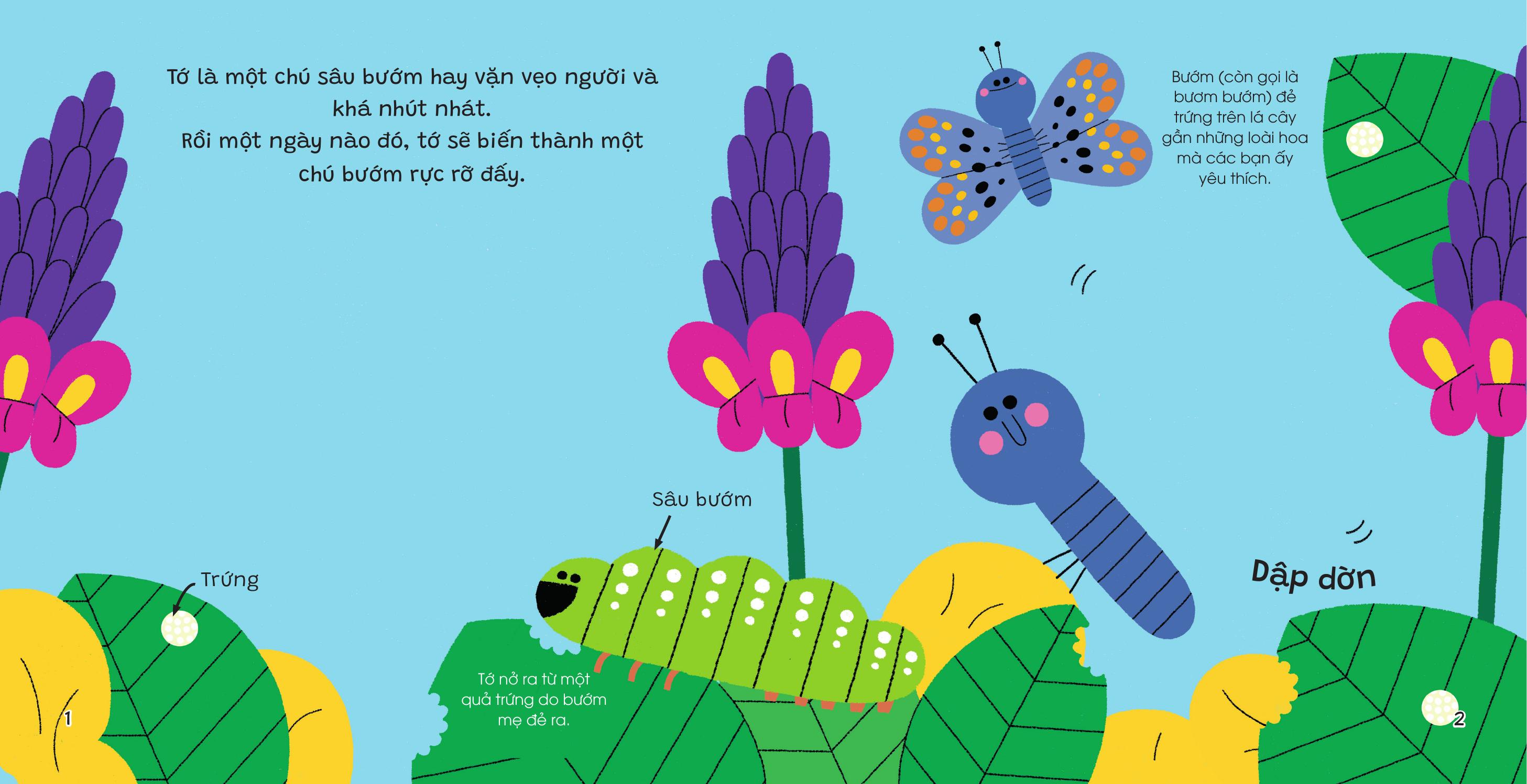 The Gioi Nho Dong Day - Buom Buom - Bia Cung