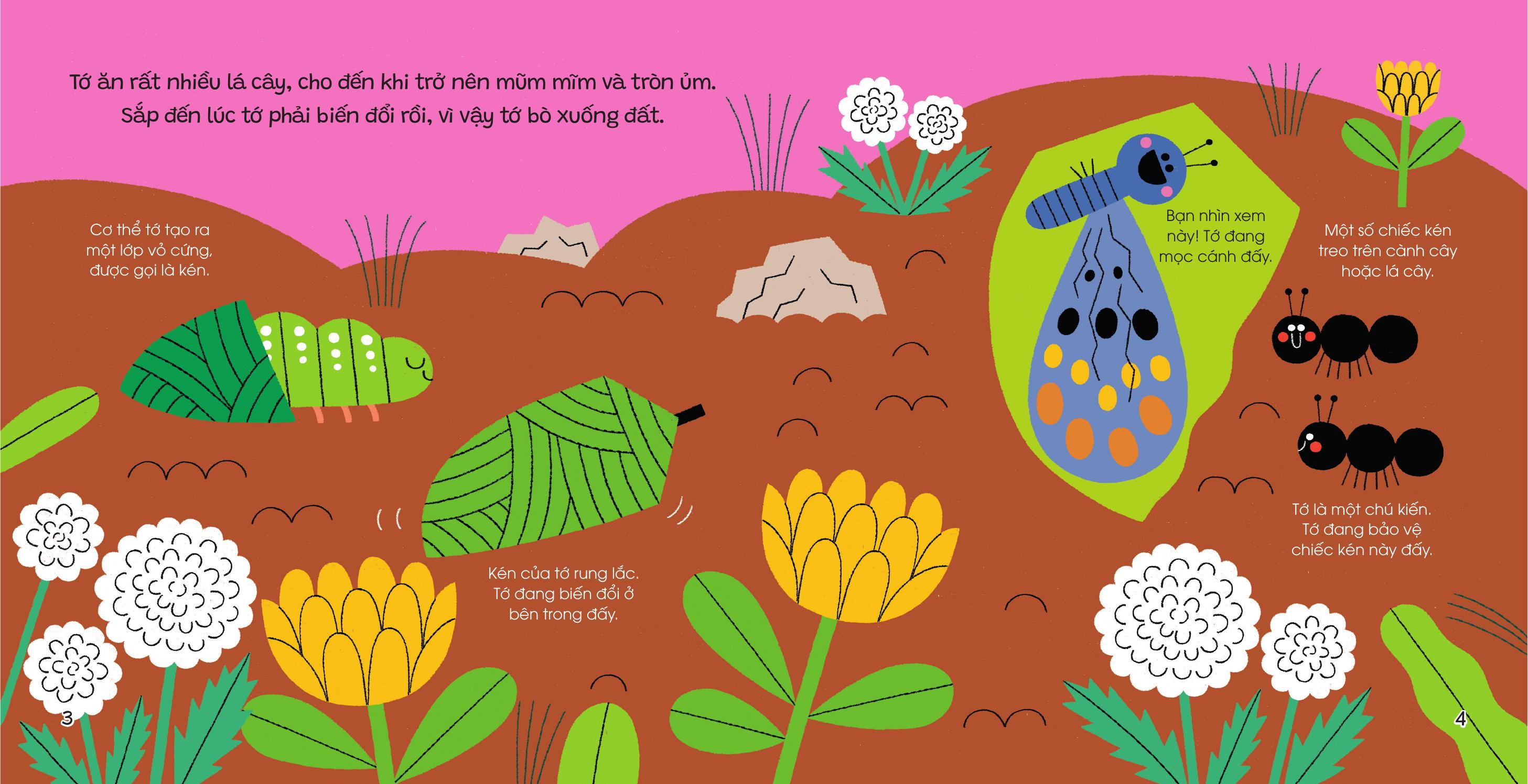 The Gioi Nho Dong Day - Buom Buom - Bia Cung