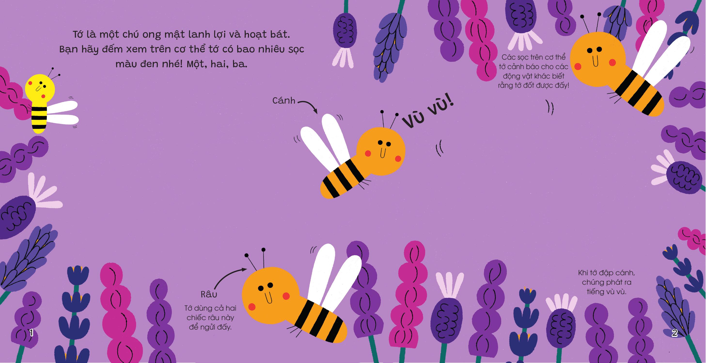 The Gioi Nho Dong Day - Ong Mat - Bia Cung