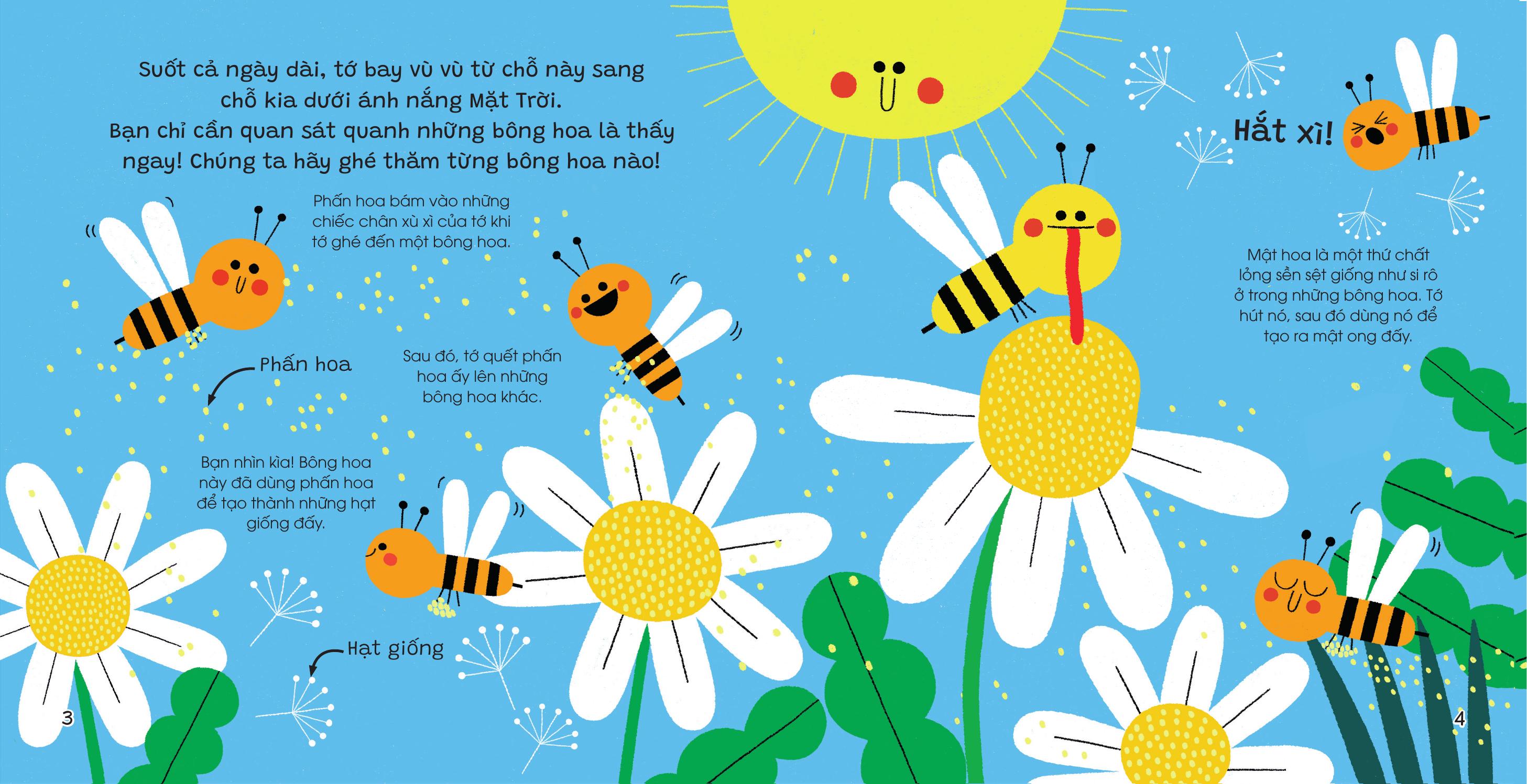 The Gioi Nho Dong Day - Ong Mat - Bia Cung