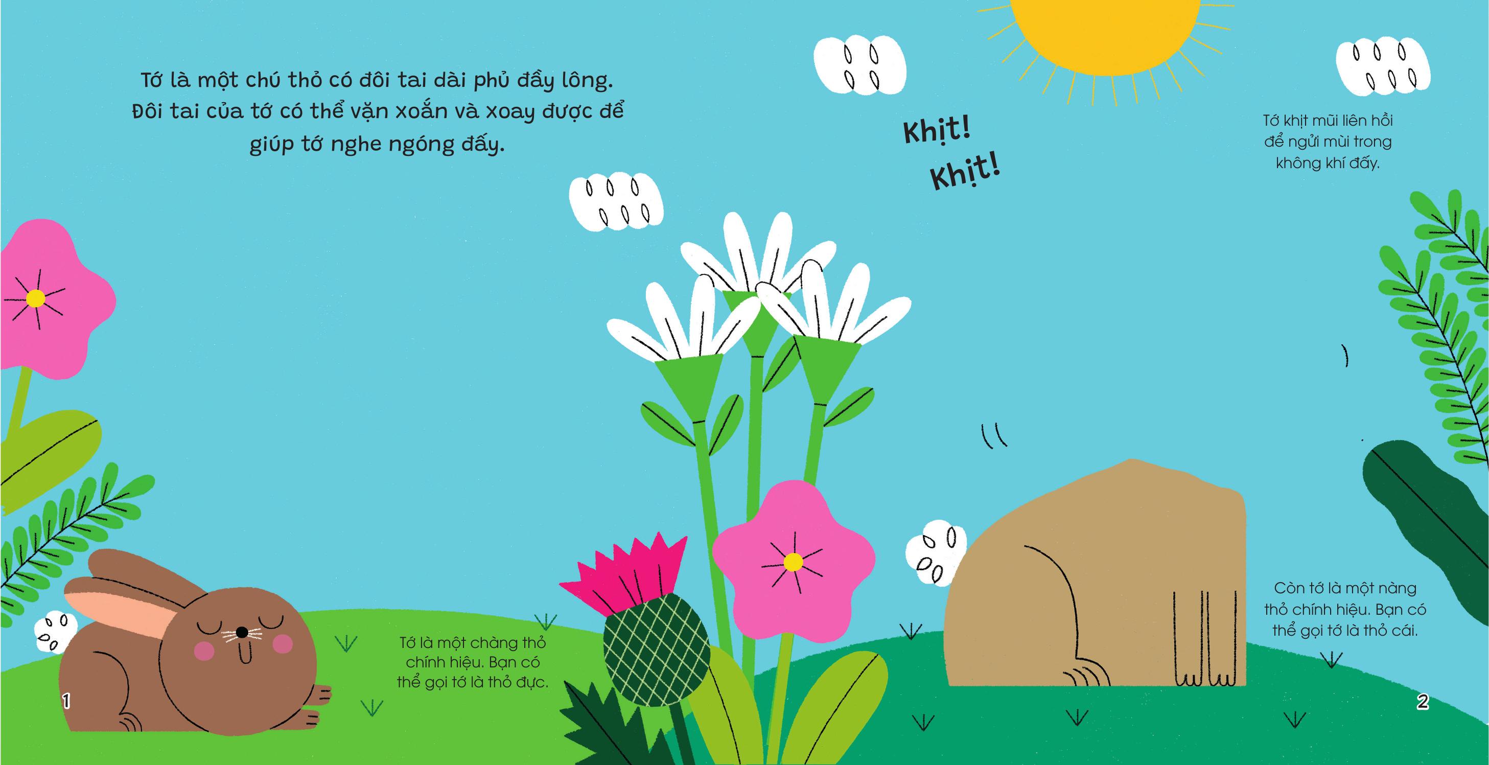 The Gioi Nho Dong Day - Tho - Bia Cung